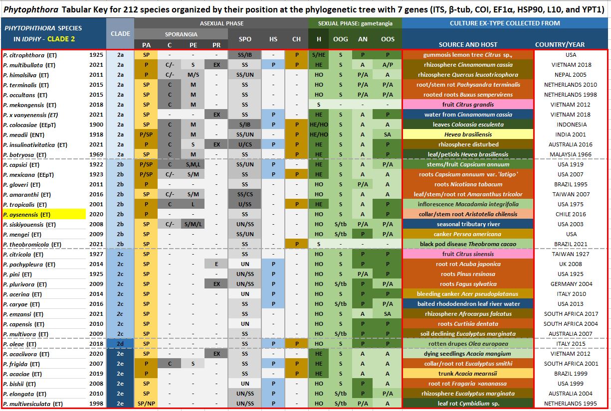    Phytophthora  spp. in subclade 2b:  Morphological Tabular key (PDF) and Tabular key legends (PDF) in IDphy2 KEY SECTION. Notice the data of   P. aysenensis  Ex-type CBS 146737 = Samp;T BL 56 . Gloria Abad, USDA Samp;T.nbsp;
